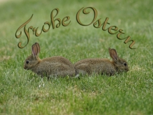 Grußkarten Ostern