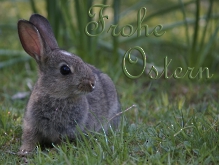 Grußkarten Ostern