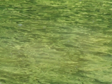 Textur & Hintergrundbilder