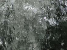 Wasser