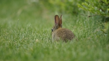 Ostern im Blickfeld