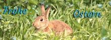 Frohe Ostern Hase 851x315 