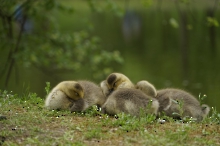 Kuschelwetter