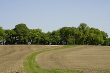 Wald,Feld & Wiese