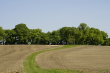 Grüner Weg