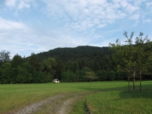 Wald,Feld & Wiese