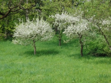 Frühlingsimpressionen