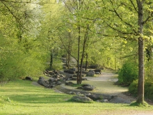 Frühlingsweg im Westpark