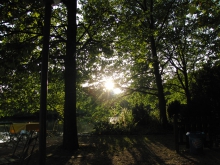 Sommerabend im Biergarten