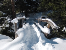 Winterimpressionen