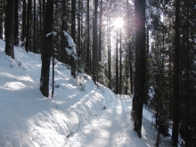 Winterweg im Gegenlicht